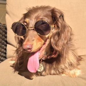 Meet your Posher, Doree